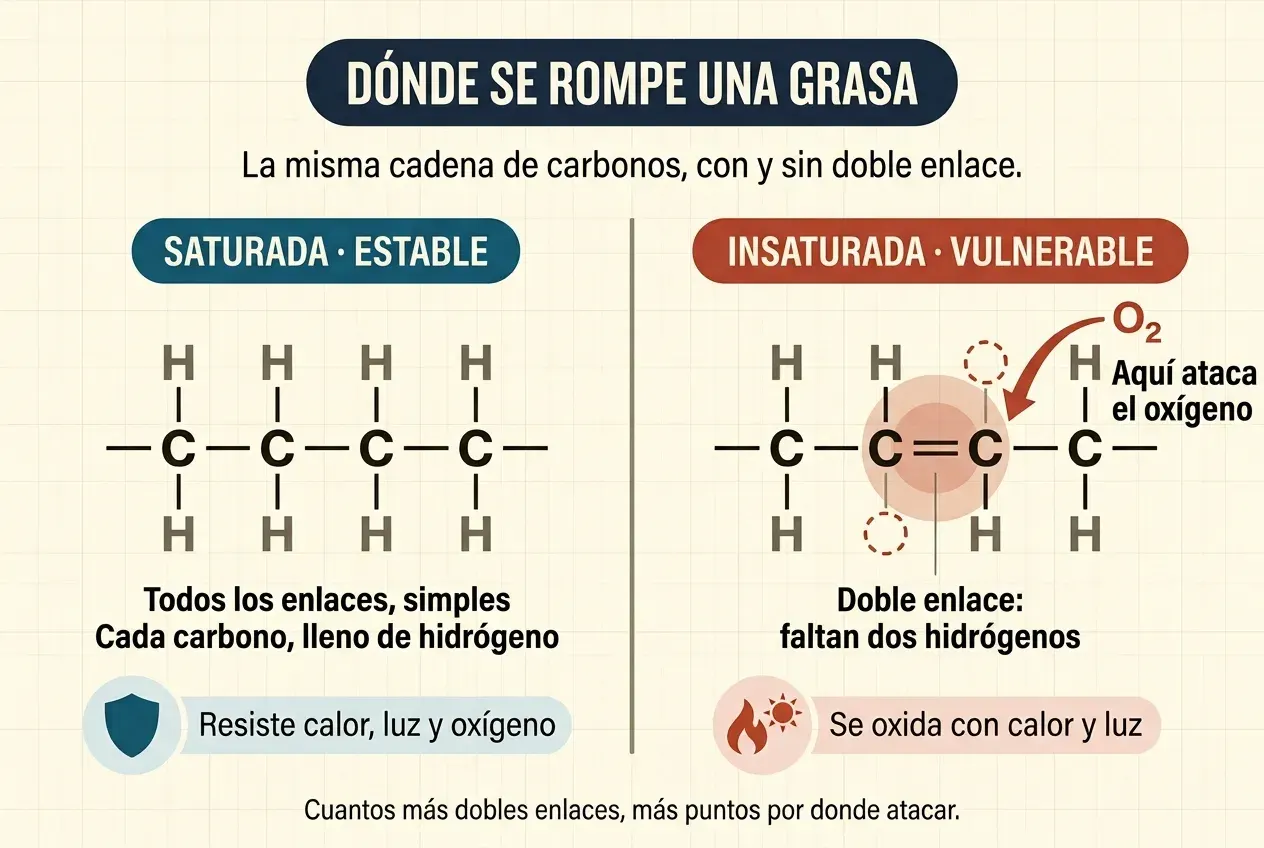 Comparación de dos cadenas de carbono sobre fondo crema. A la izquierda, bajo la etiqueta «Saturada · estable», cuatro átomos de carbono en línea recta unidos por enlaces simples, cada uno con un hidrógeno encima y otro debajo: ocho en total. A la derecha, bajo la etiqueta «Insaturada · vulnerable», la misma cadena, pero el segundo y el tercer carbono están unidos por un enlace doble y han perdido un hidrógeno cada uno; los dos huecos vacíos se marcan con círculos rojos de línea discontinua. Una flecha roja rotulada O₂ apunta al enlace doble.