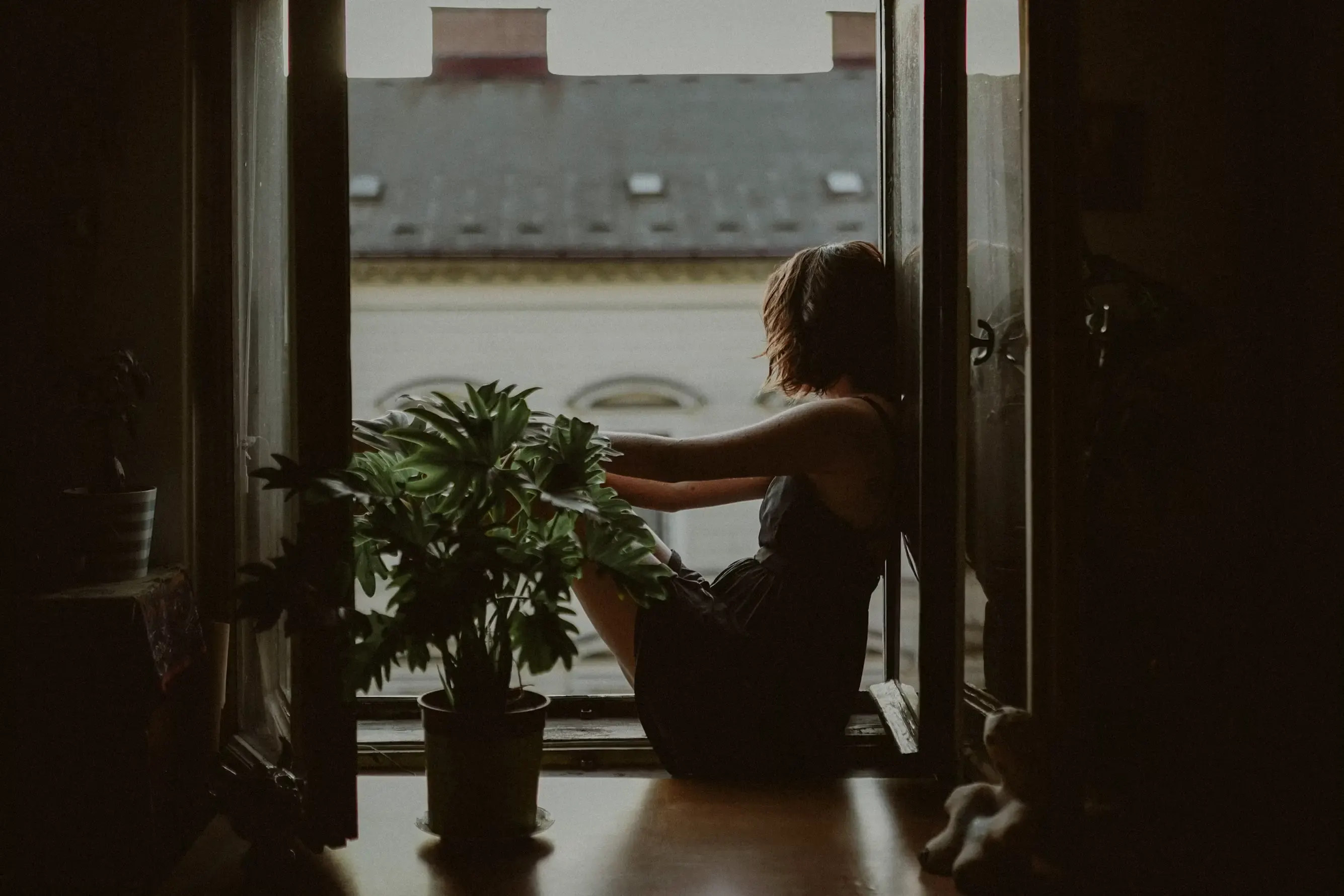 A woman sitting in an open window in the half-light, knees drawn up, looking out at the street; a potted houseplant beside her.