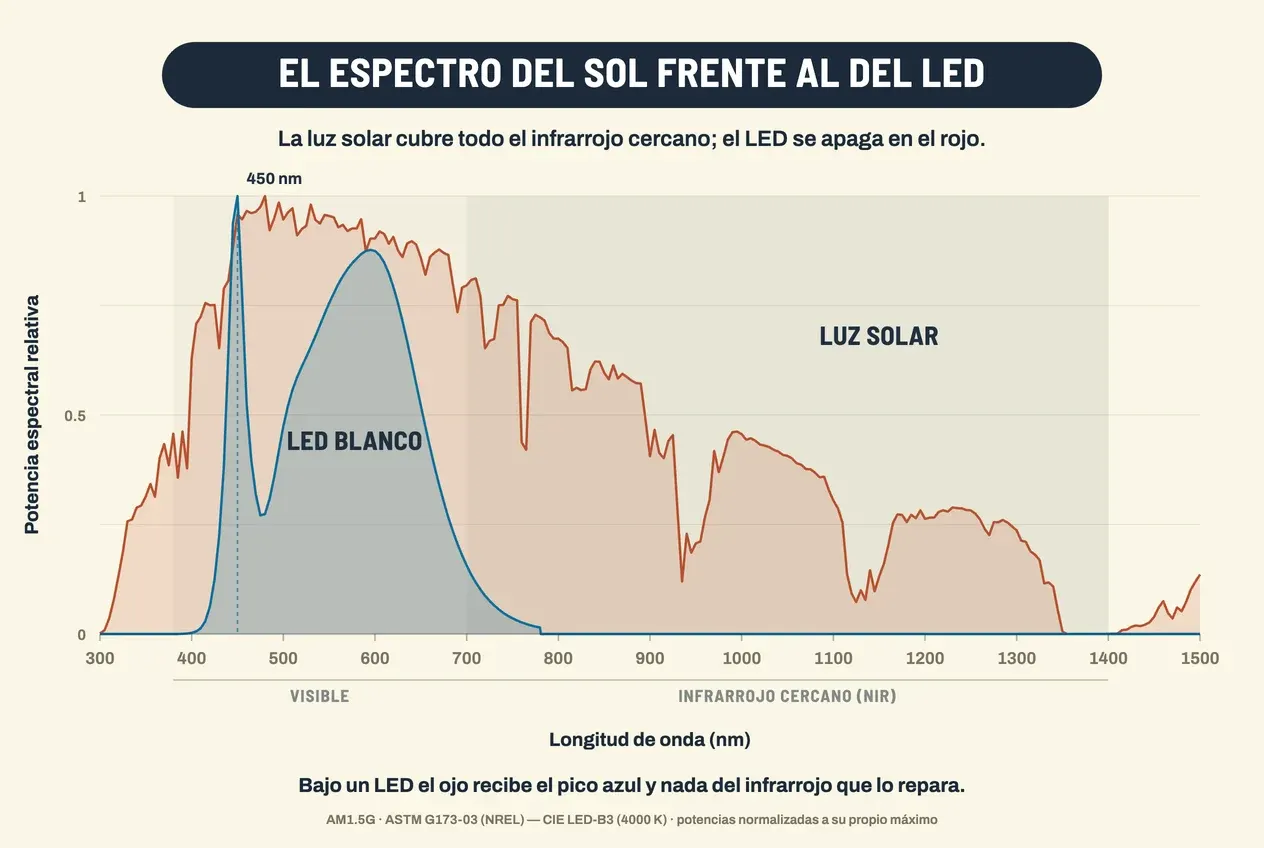 Gráfico que compara dos espectros normalizados a su propio máximo, entre 300 y 1500 nanómetros. La curva de la luz solar, en rojo ladrillo, es continua: sube desde el ultravioleta, alcanza su máximo hacia los 480 nanómetros y desciende de forma irregular a lo largo de todo el infrarrojo cercano, con muescas pronunciadas hacia los 760, 940, 1130 y 1400 nanómetros, donde el oxígeno y el vapor de agua de la atmósfera absorben radiación; a 1500 nanómetros sigue emitiendo. La curva del LED blanco, en azul, es un pico estrecho y alto en 450 nanómetros, un valle hacia los 480 y una joroba ancha que culmina cerca de los 595; a partir de los 780 nanómetros cae a cero y permanece plana el resto del gráfico. Una banda sombreada marca el infrarrojo cercano, de 700 a 1400 nanómetros, donde solo hay curva solar.