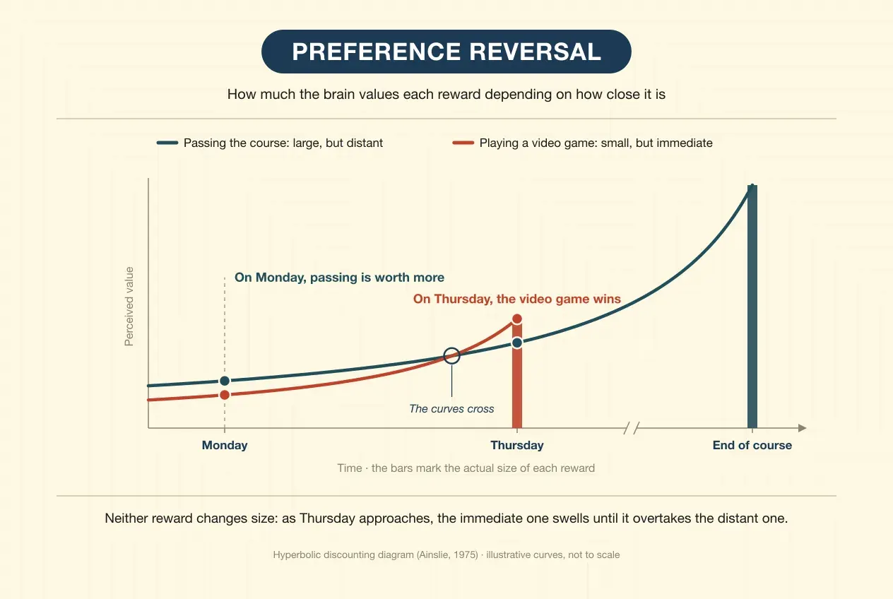 Chart of preference reversal. The horizontal axis is time: Monday, Thursday and the end of the course, with a break that compresses the final stretch; the vertical axis is perceived value. Two bars mark the actual size of each reward: passing the course, tall and at the end, and playing a video game, shorter and on Thursday. From each bar a curve runs leftwards showing what that reward is worth when seen from earlier on. On Monday the passing curve is higher; shortly before Thursday the curves cross, and on Thursday the video game curve is higher. Neither reward changes size: as Thursday approaches, the immediate one swells until it overtakes the distant one.